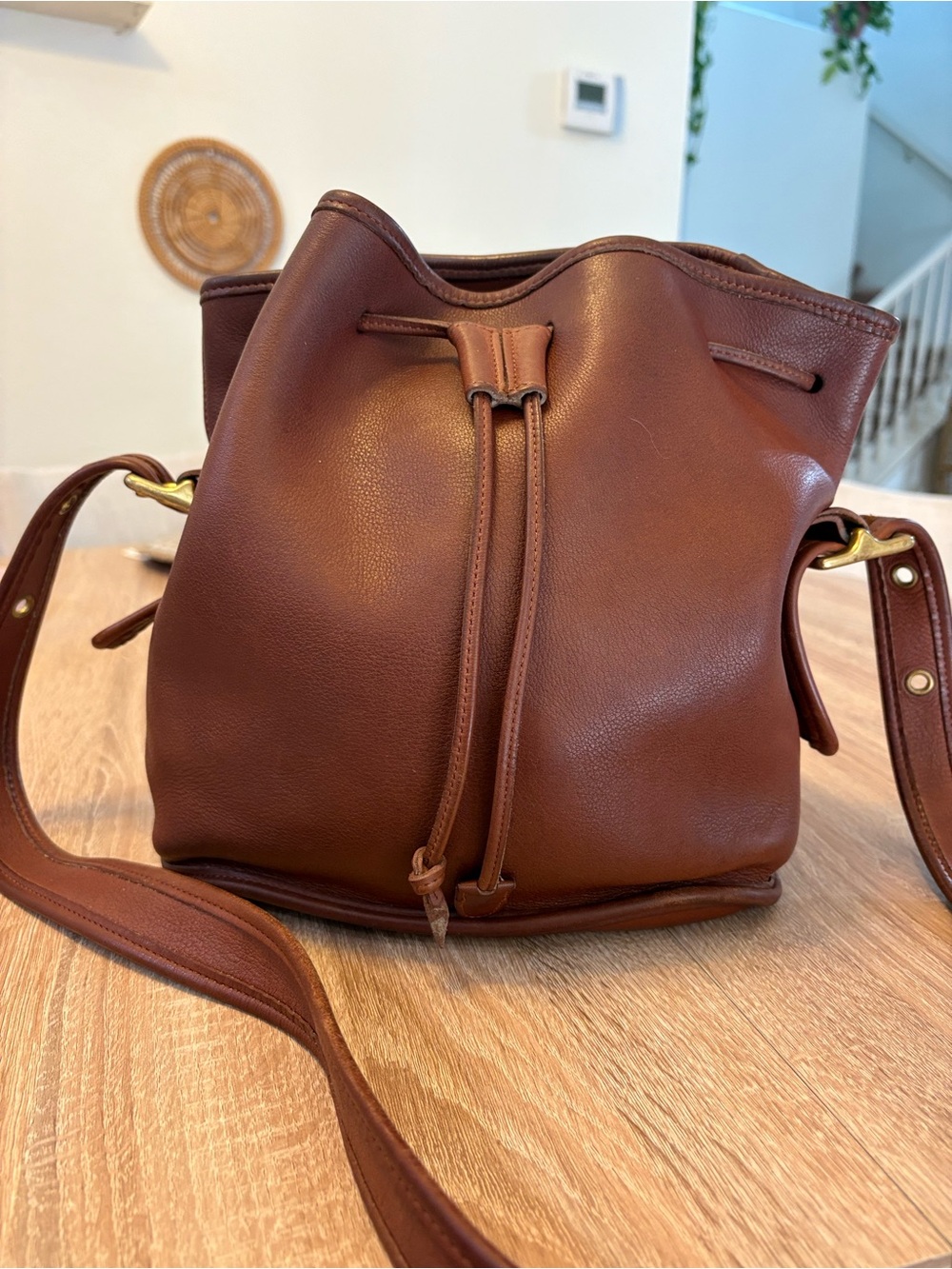 Coach Lula's Legacy Bucket Bag Leather - Picture 1 of 13
